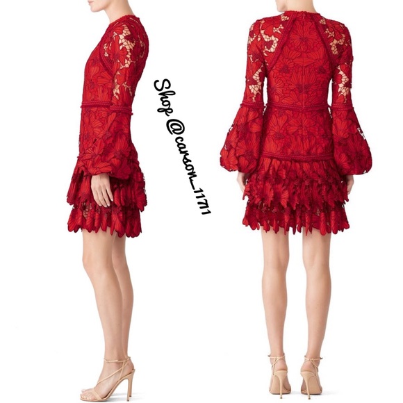 NEW Alexis Francisca Lace Mini Dress S - Picture 3 of 7